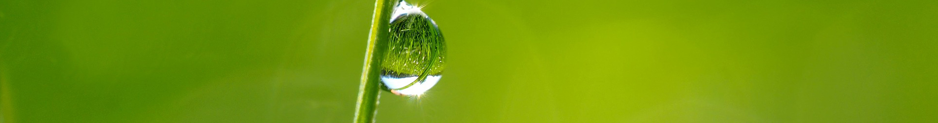 Slide background